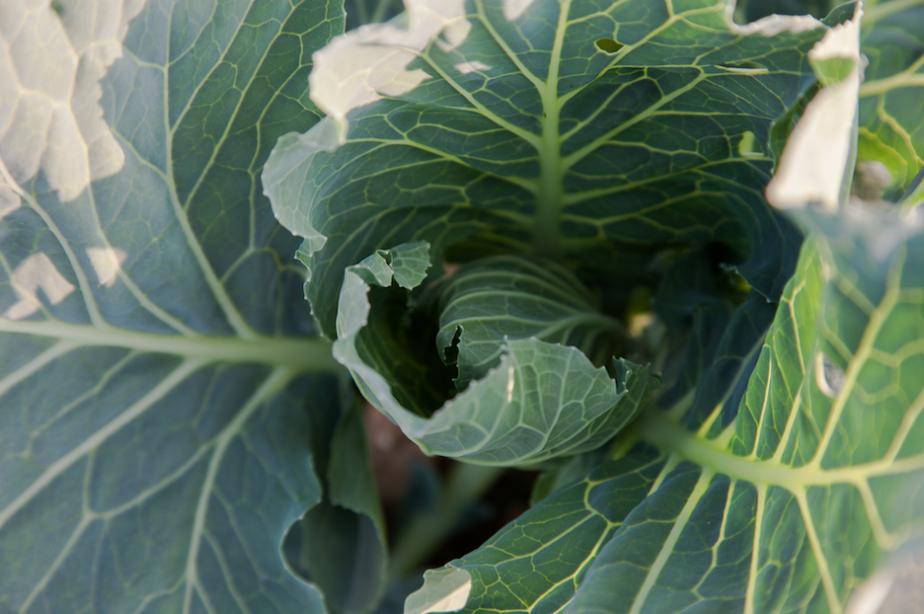 オンライン向けセットを準備中